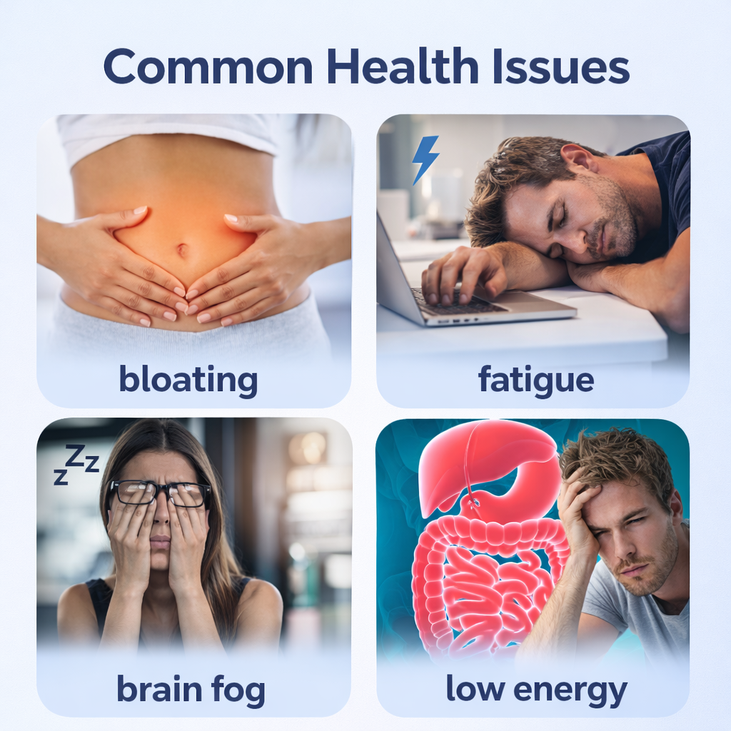 Candida Cleanse - For Gut Detox & Restore