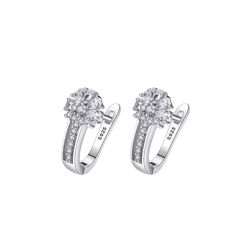 Crystal Stud Earrings