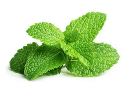 Menta orgánica