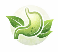 Supports Digestive Comfort