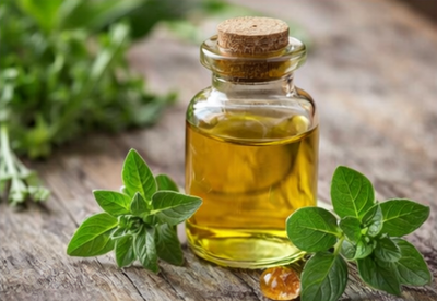 Oregano Leaf Extract