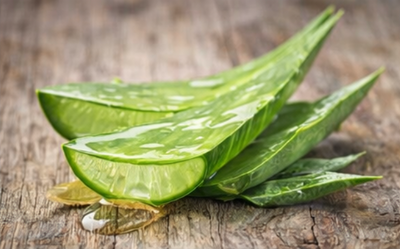 Aloe Vera Leaf Gel