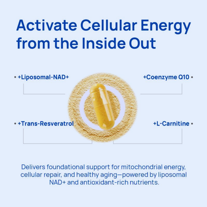 NAD+ Supplement for Men - 60 Capsules