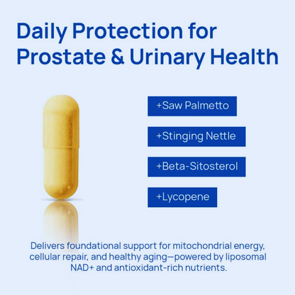 NAD+ Supplement for Men - 60 Capsules