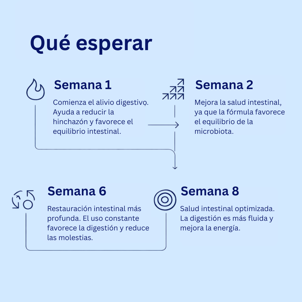 Candida Cleanse: para la desintoxicación y la recuperación intestinal