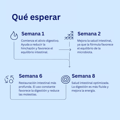 Candida Cleanse: para la desintoxicación y la recuperación intestinal